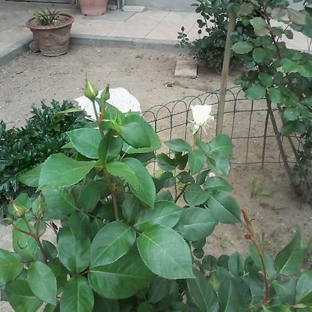 Sartirana Lomellina Perbacco B&B 외부 사진