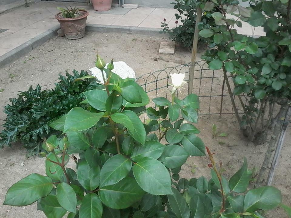 Sartirana Lomellina Perbacco B&B 외부 사진