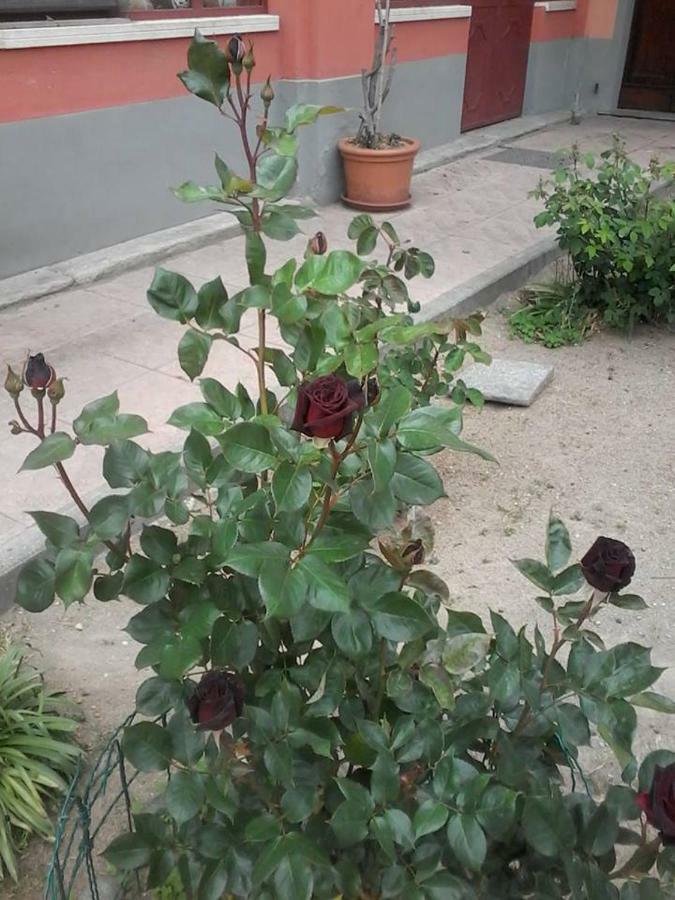 Sartirana Lomellina Perbacco B&B 외부 사진